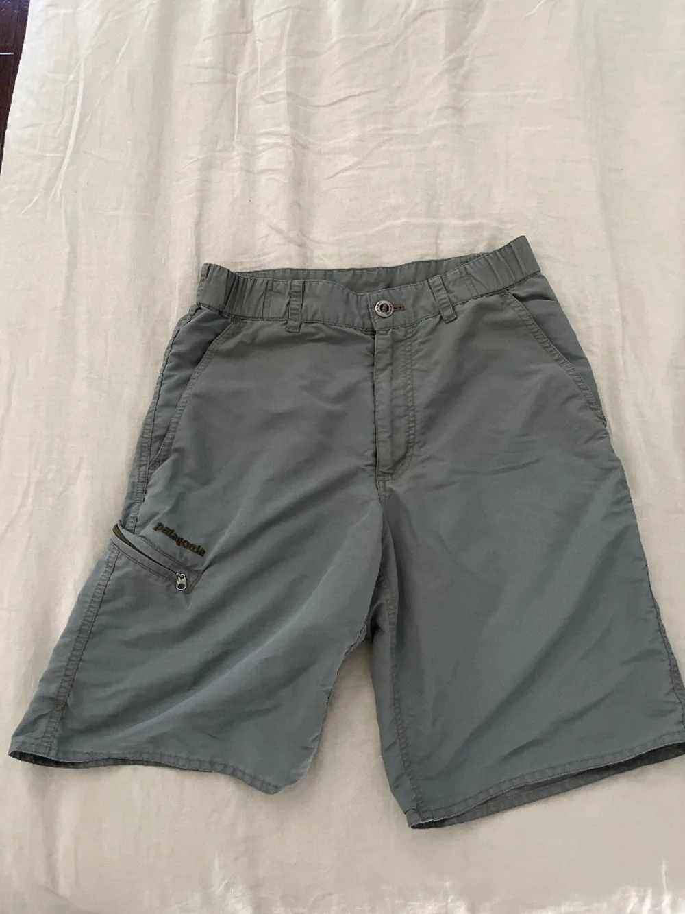 Patagonia Shorts Mens XS